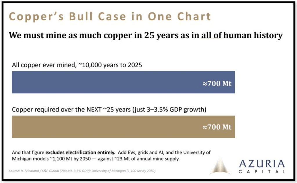 copper bull case