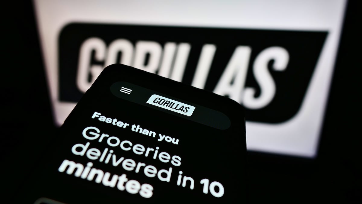 Gorilla Technology
