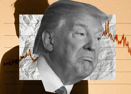 Trump stock market