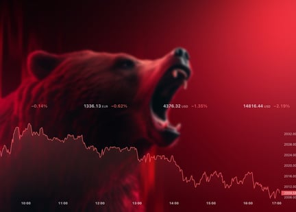 Bear market 6