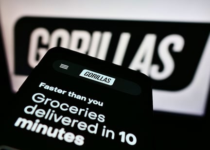 Gorilla Technology