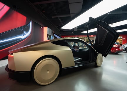 Tesla robotaxi