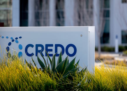 CRDO stock