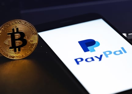 Paypal stock