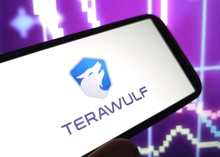 terawulf company