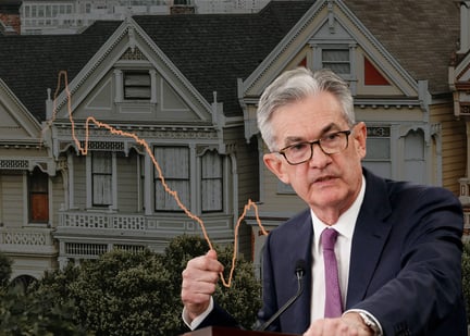 Powell hero image